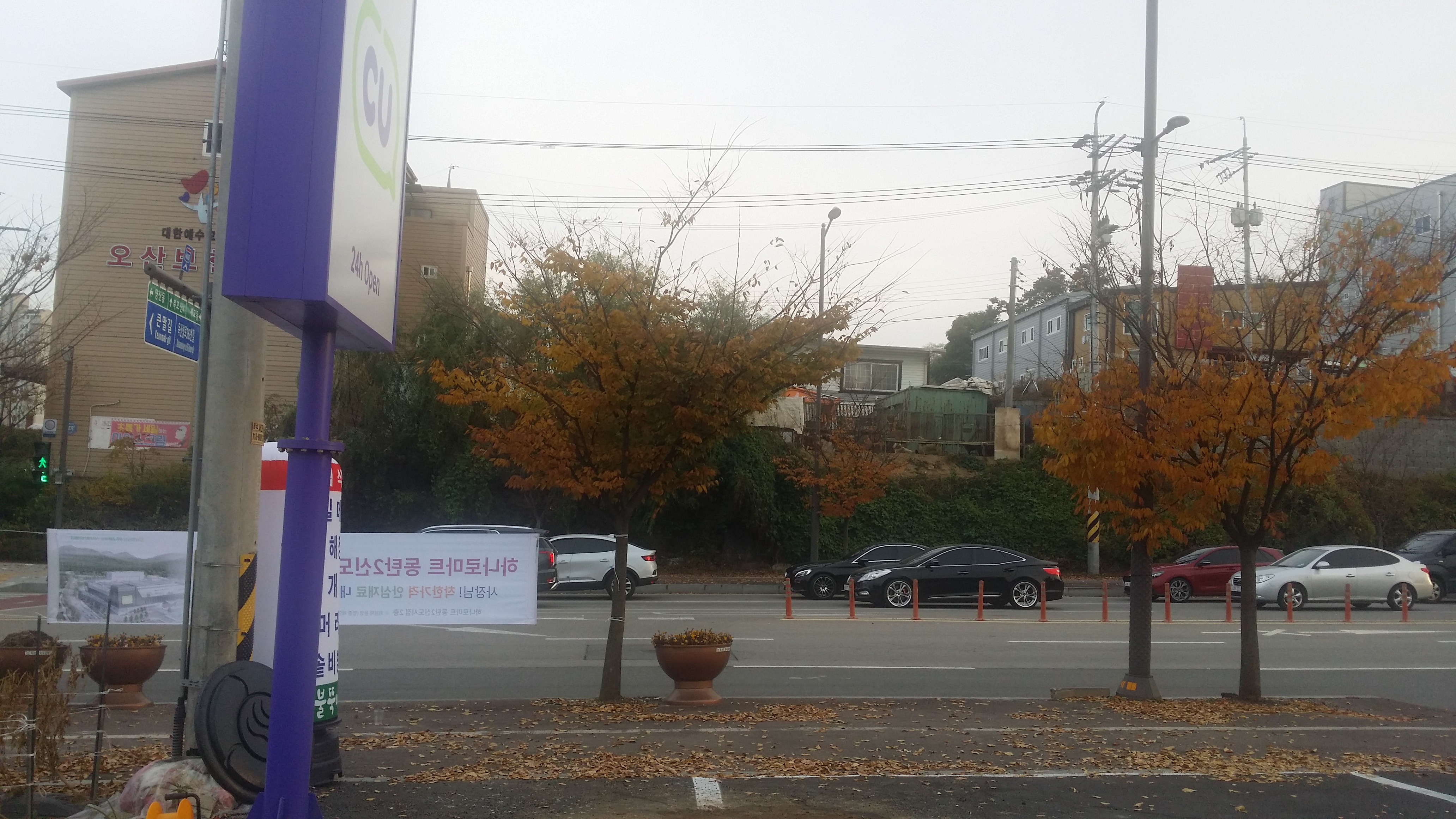 개농장 