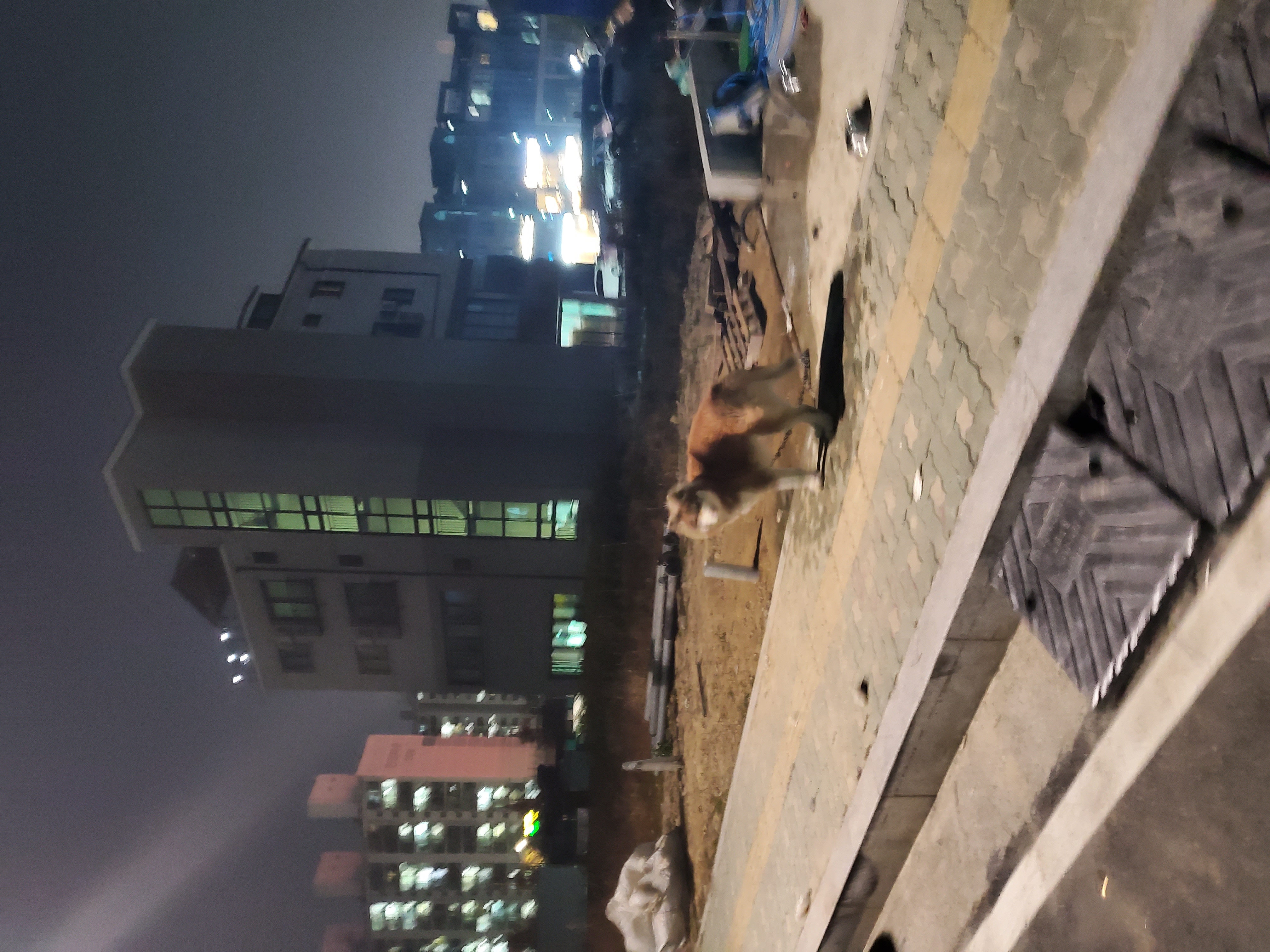 불쌍하고 안타까워서 못보겠어요