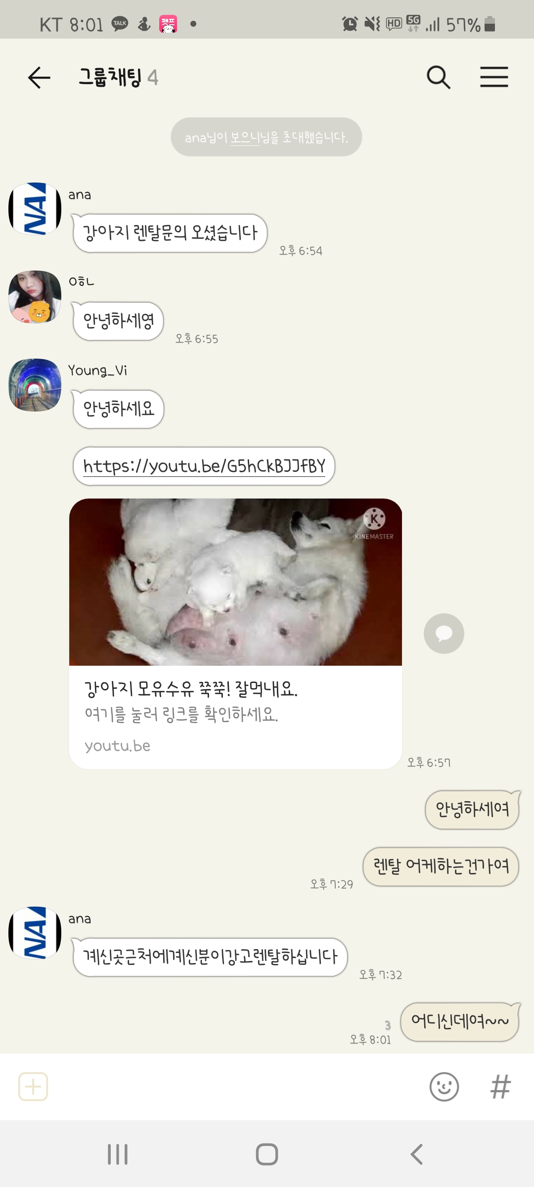 불법 동물 렌탈