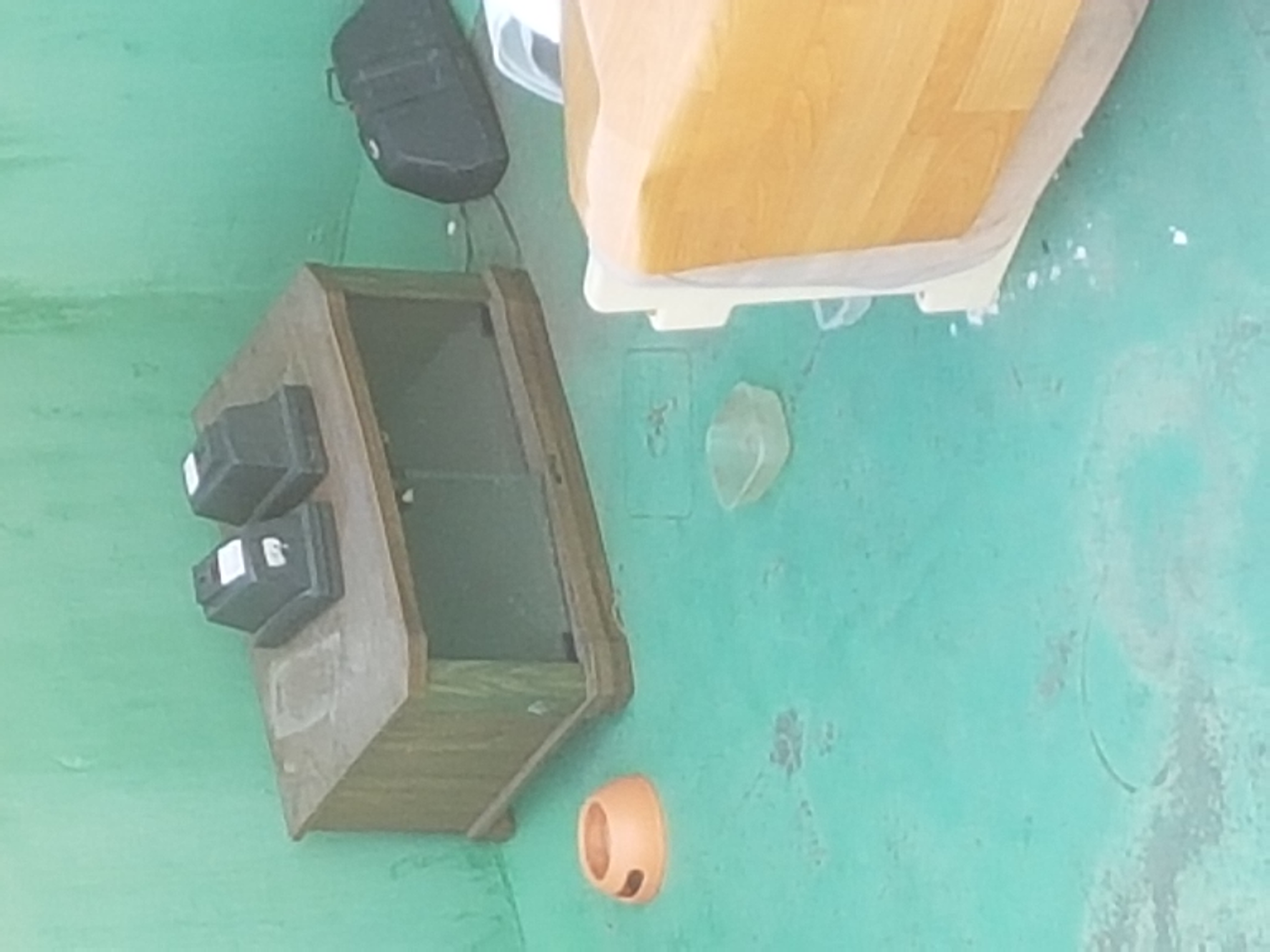 여름부터 강아지를 옥상에 방치해둠