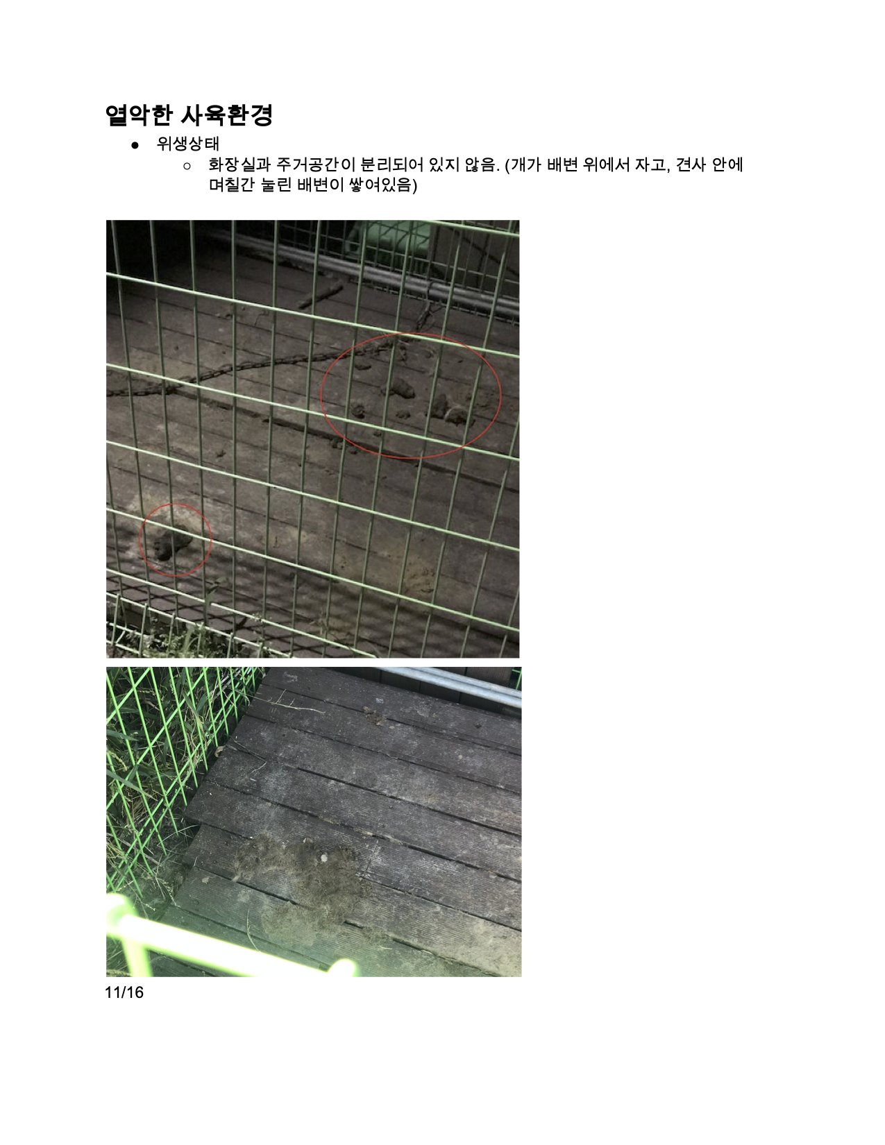 방임된 골든 리트리버 신고