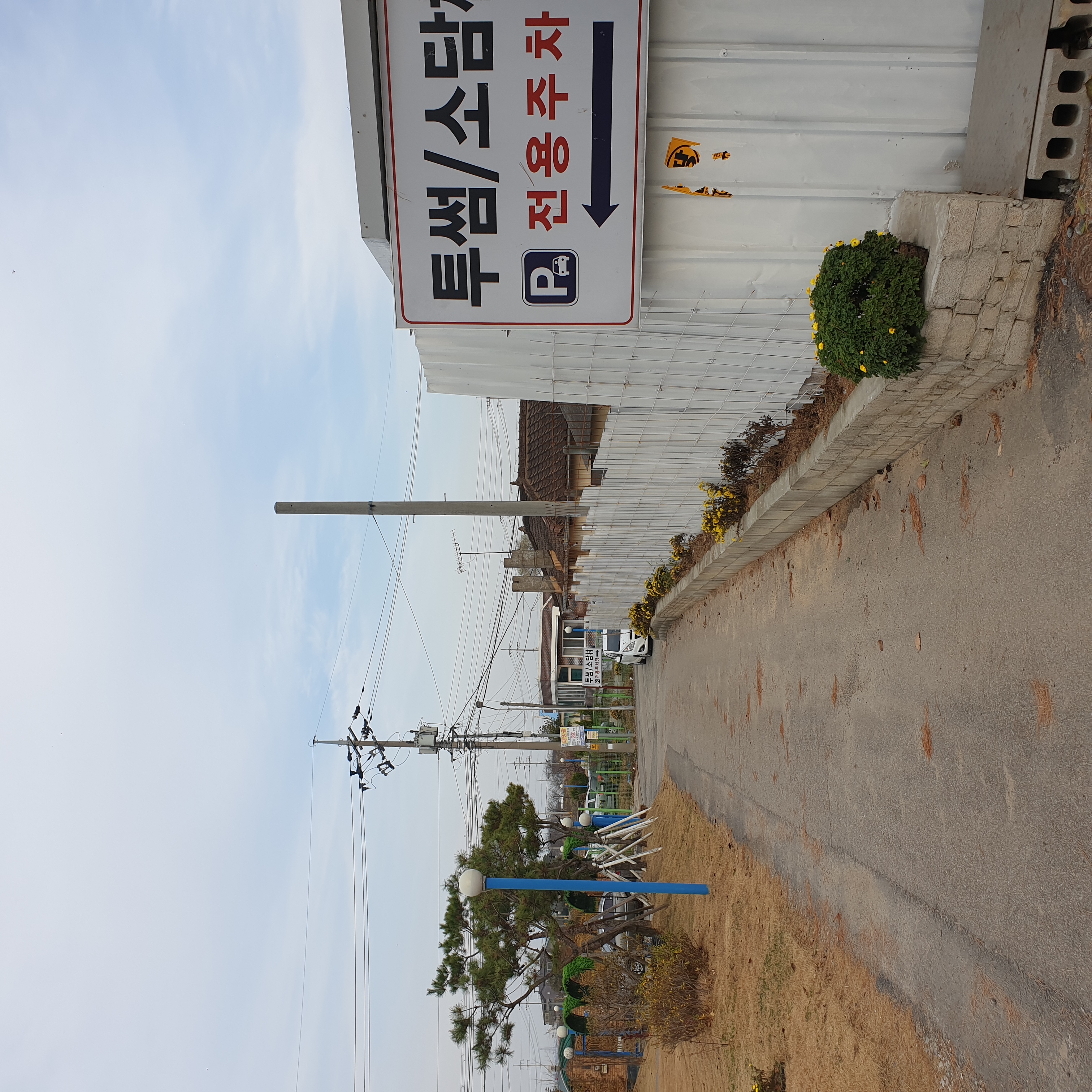 이 아이들을 봐주세요