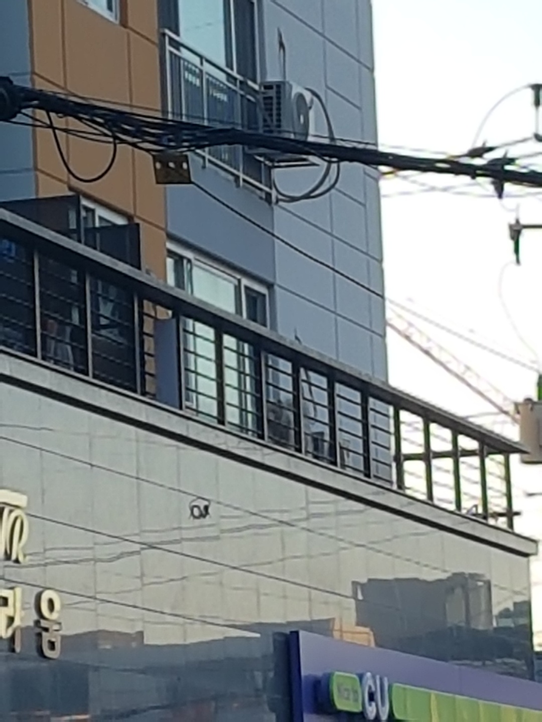 이런 경우에도 학대에 해당되나요?