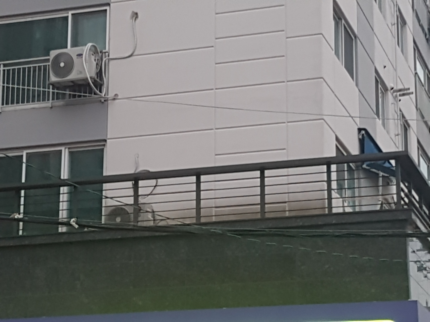 이런 경우에도 학대에 해당되나요?