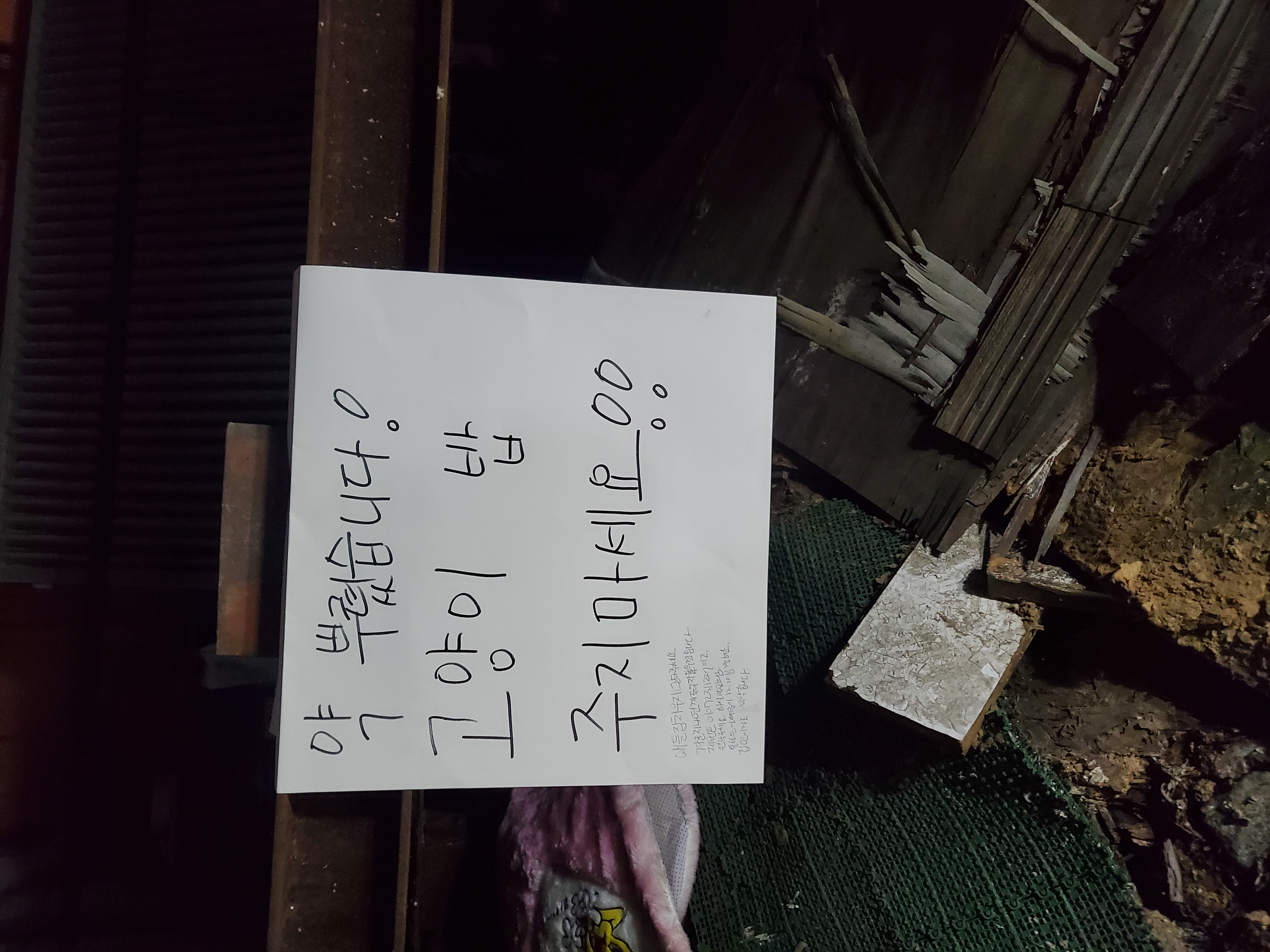 길고양이학대