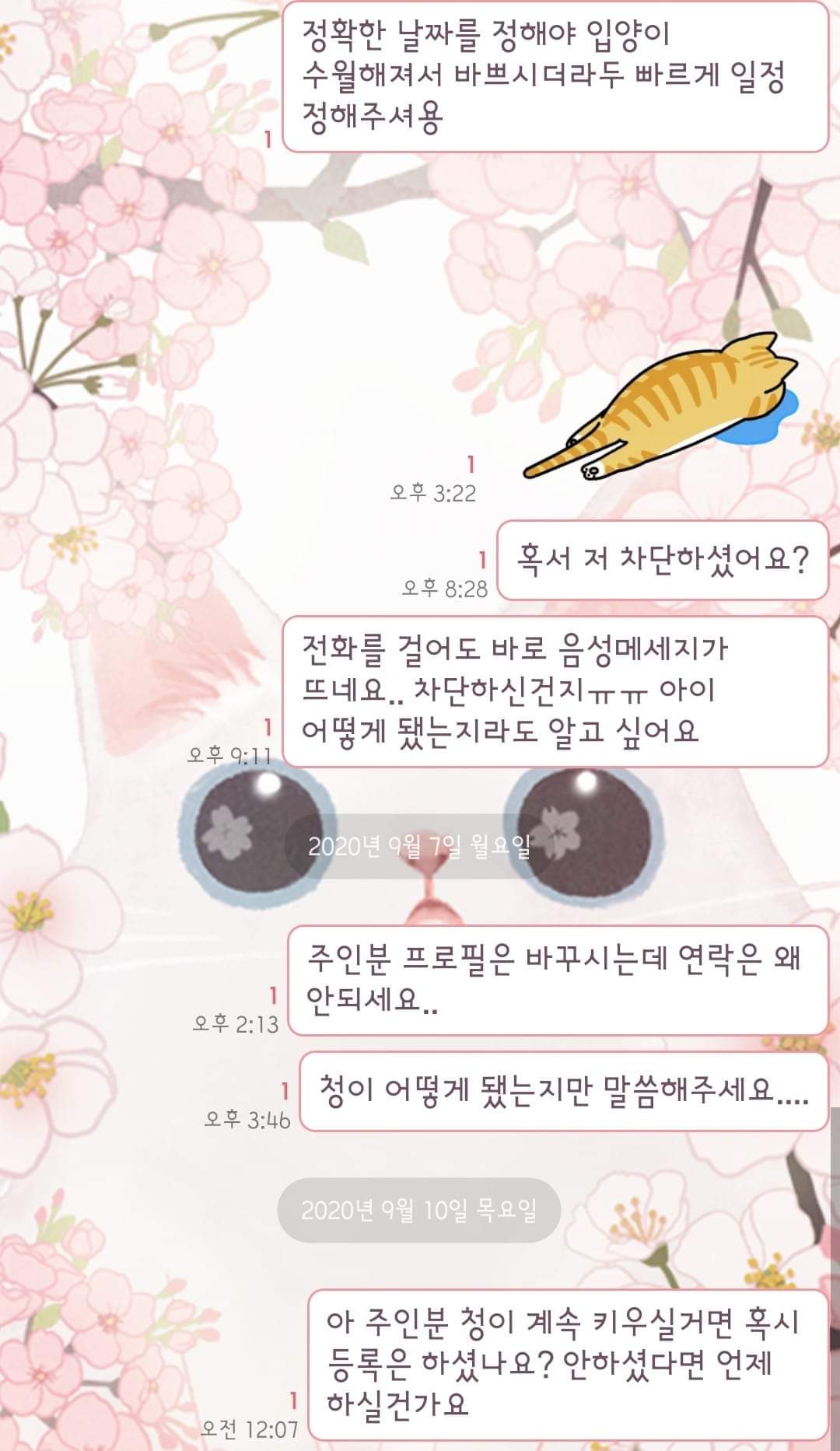 학대는 아닌데 올릴곳이 여기뿐이라.. 유기예요.