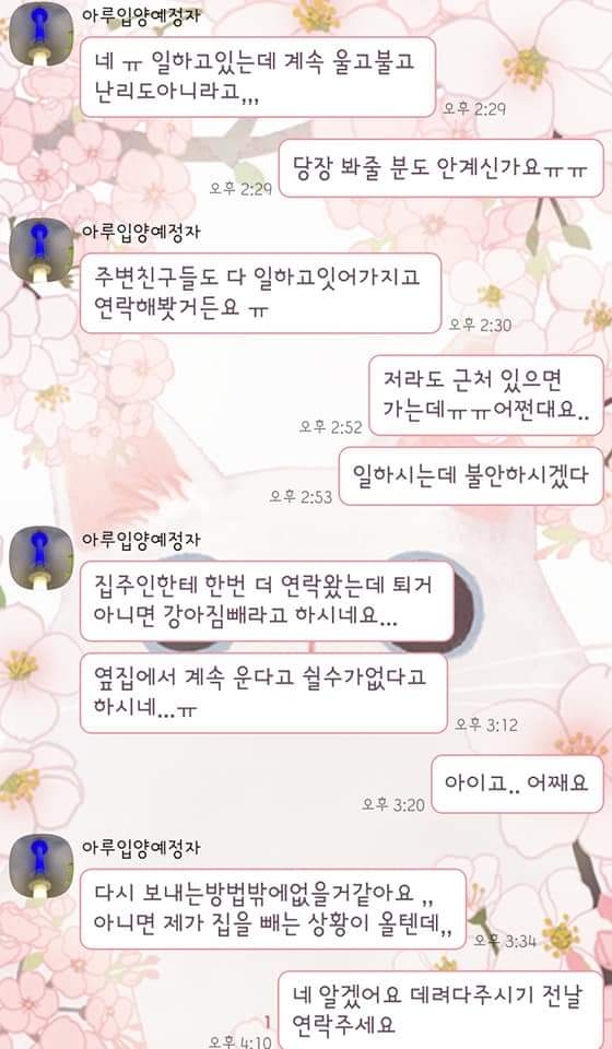학대는 아닌데 올릴곳이 여기뿐이라.. 유기예요.