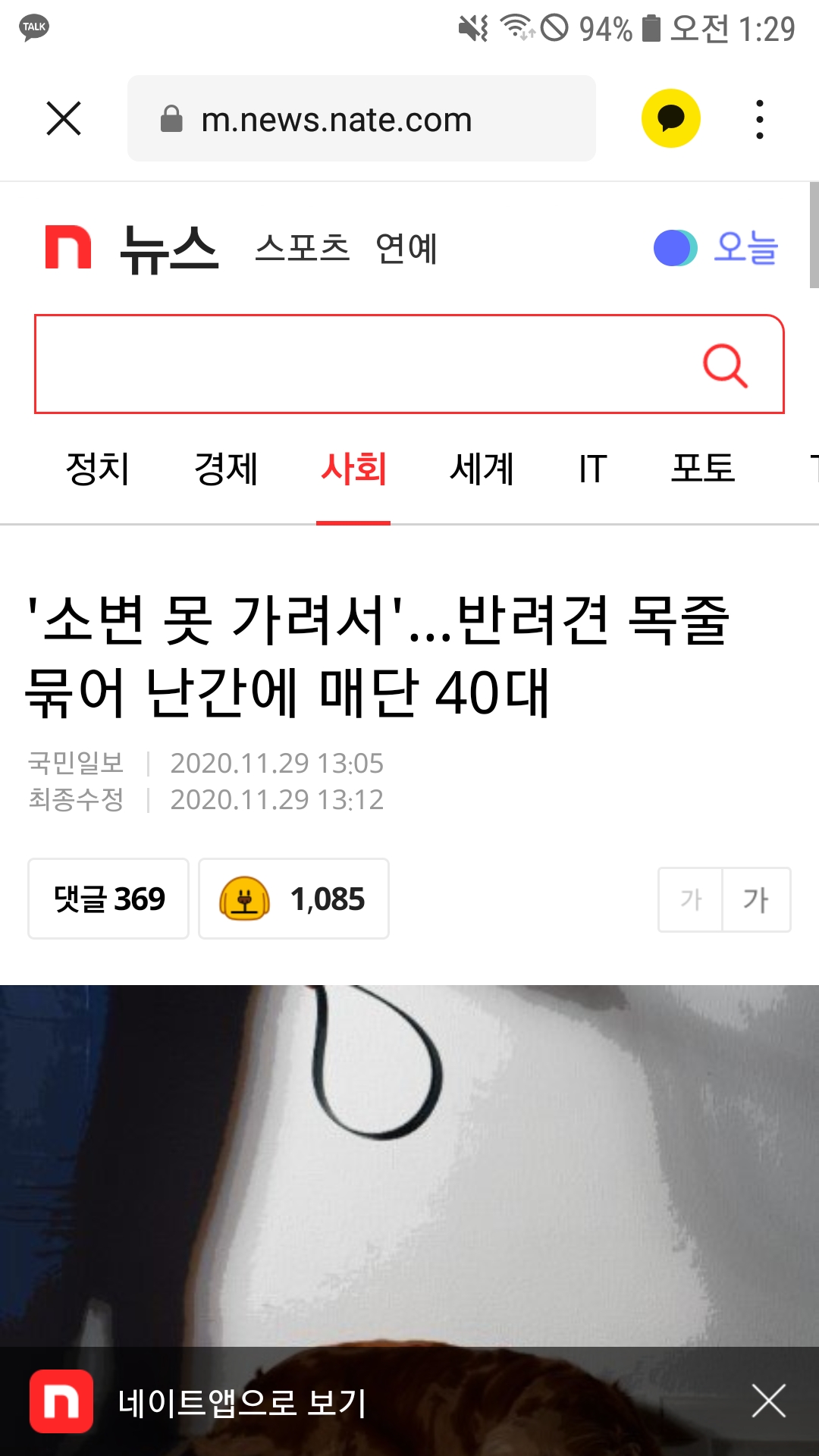 강아지 목줄에 난간에 매단 견주로부터 격리될수있게 도와주세요