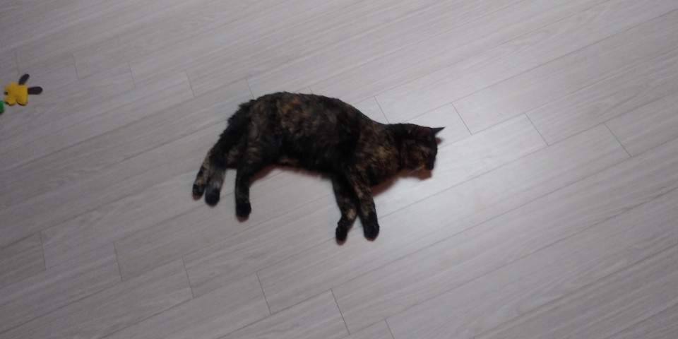 까꿍이의 한달