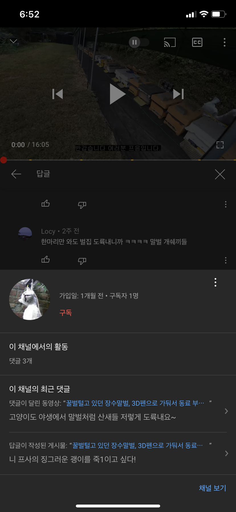 유튜브 동물학대