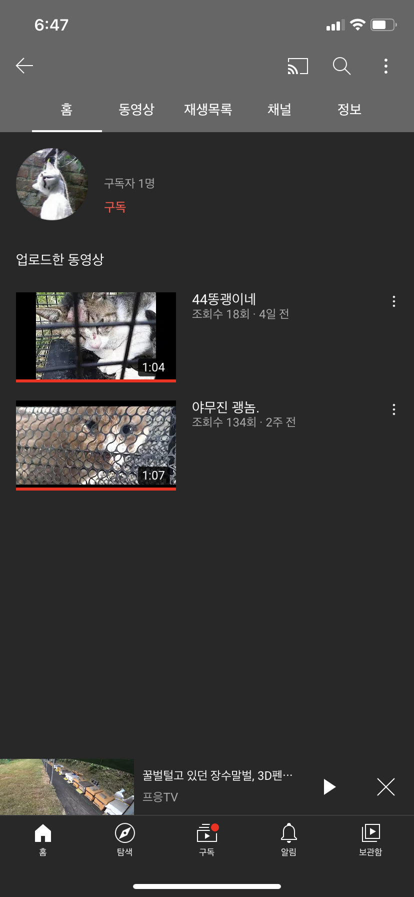 유튜브 동물학대