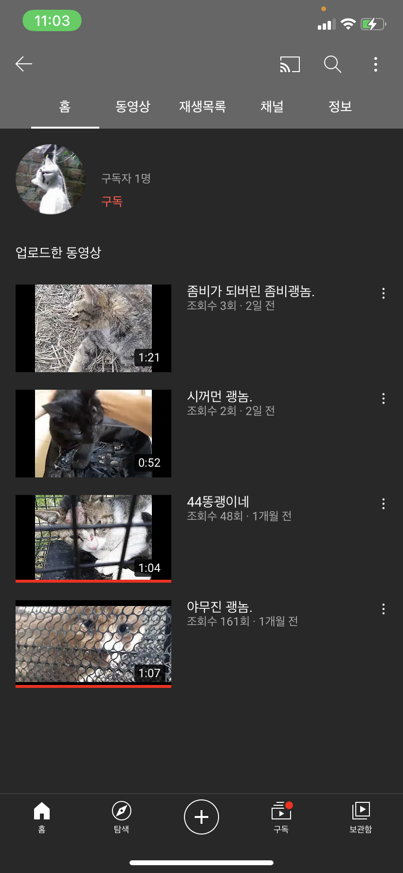 유튜브 동물학대