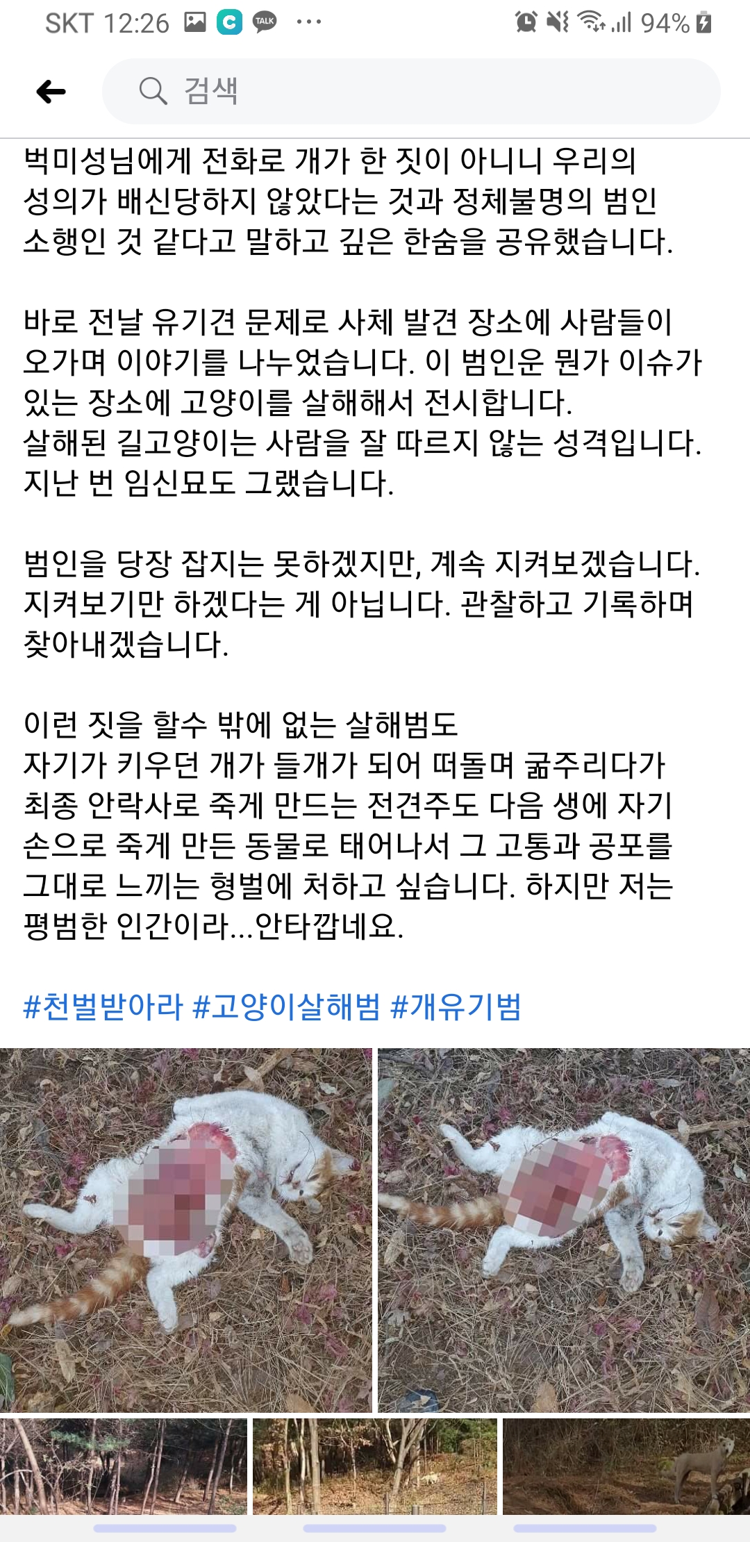 길고양이 연쇄 살해(관악구)