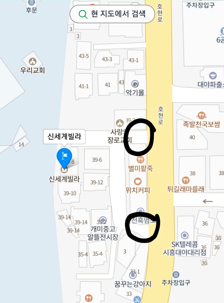강아지가 납치당했습니다. 범인은 잡았지만 강아지 실종 20일째입니다.