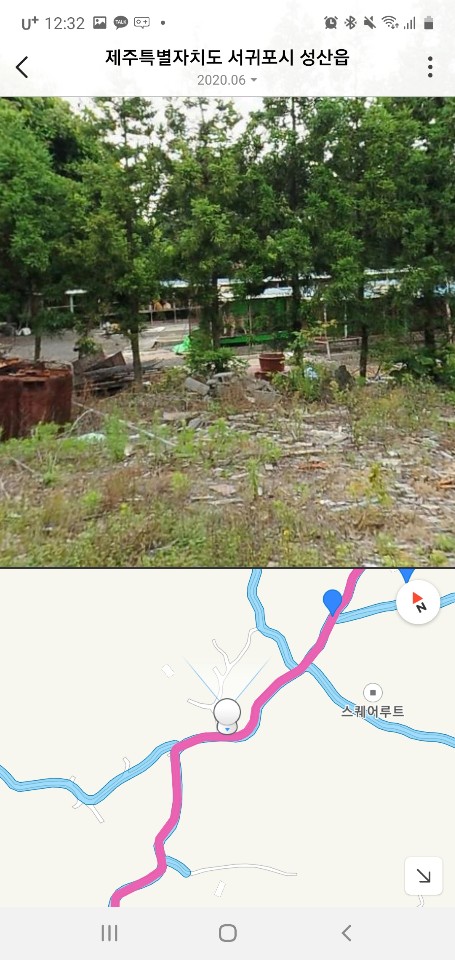 제주도에서 개농장? 느낌의 현장을 봤어요