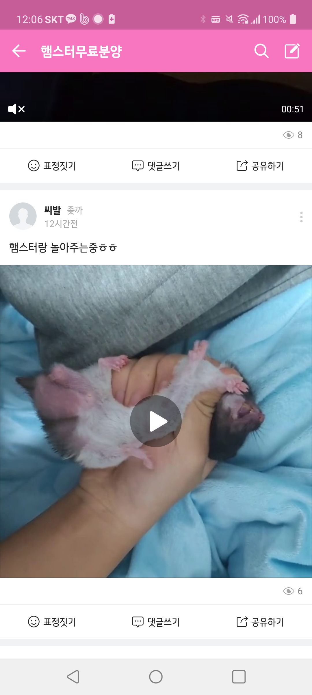 밴드상 동물학대 영상