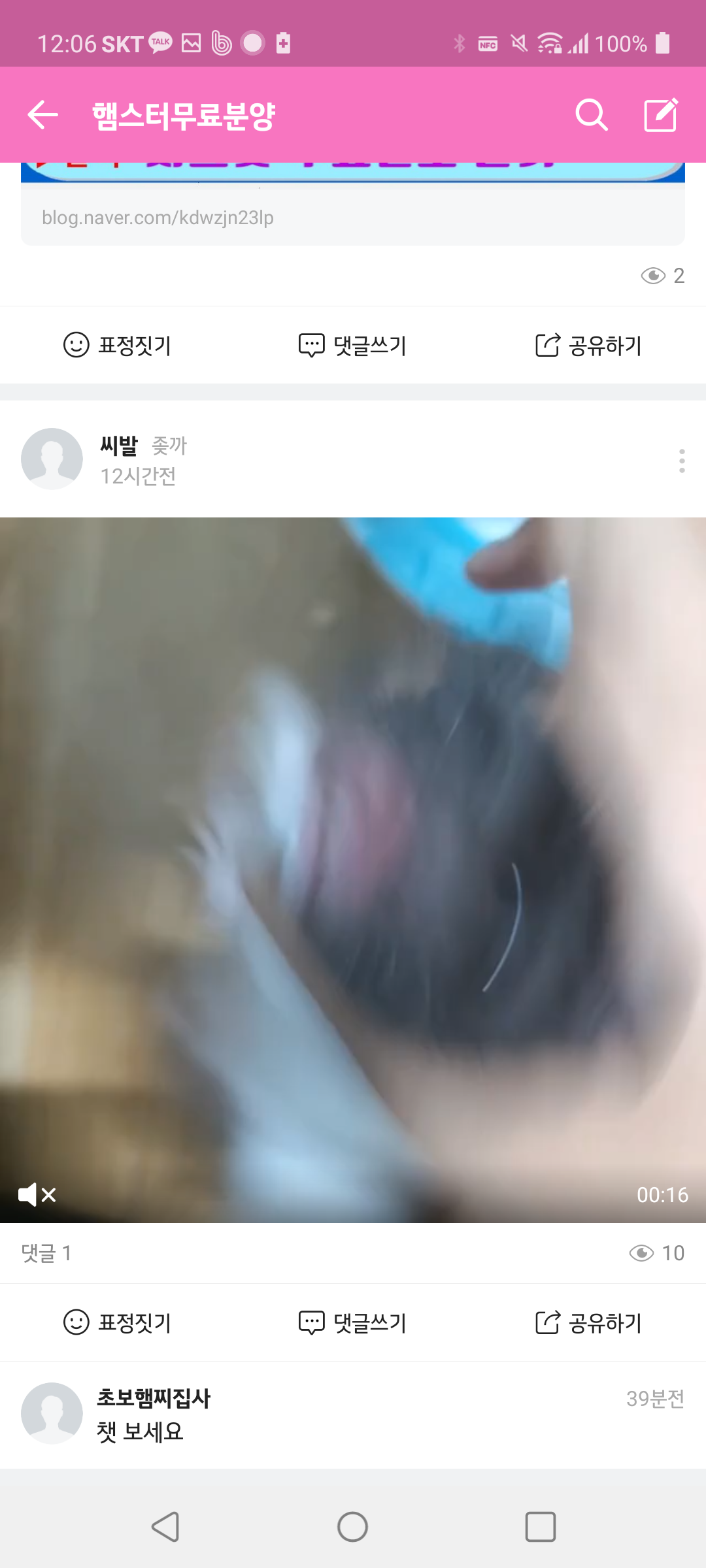 밴드상 동물학대 영상