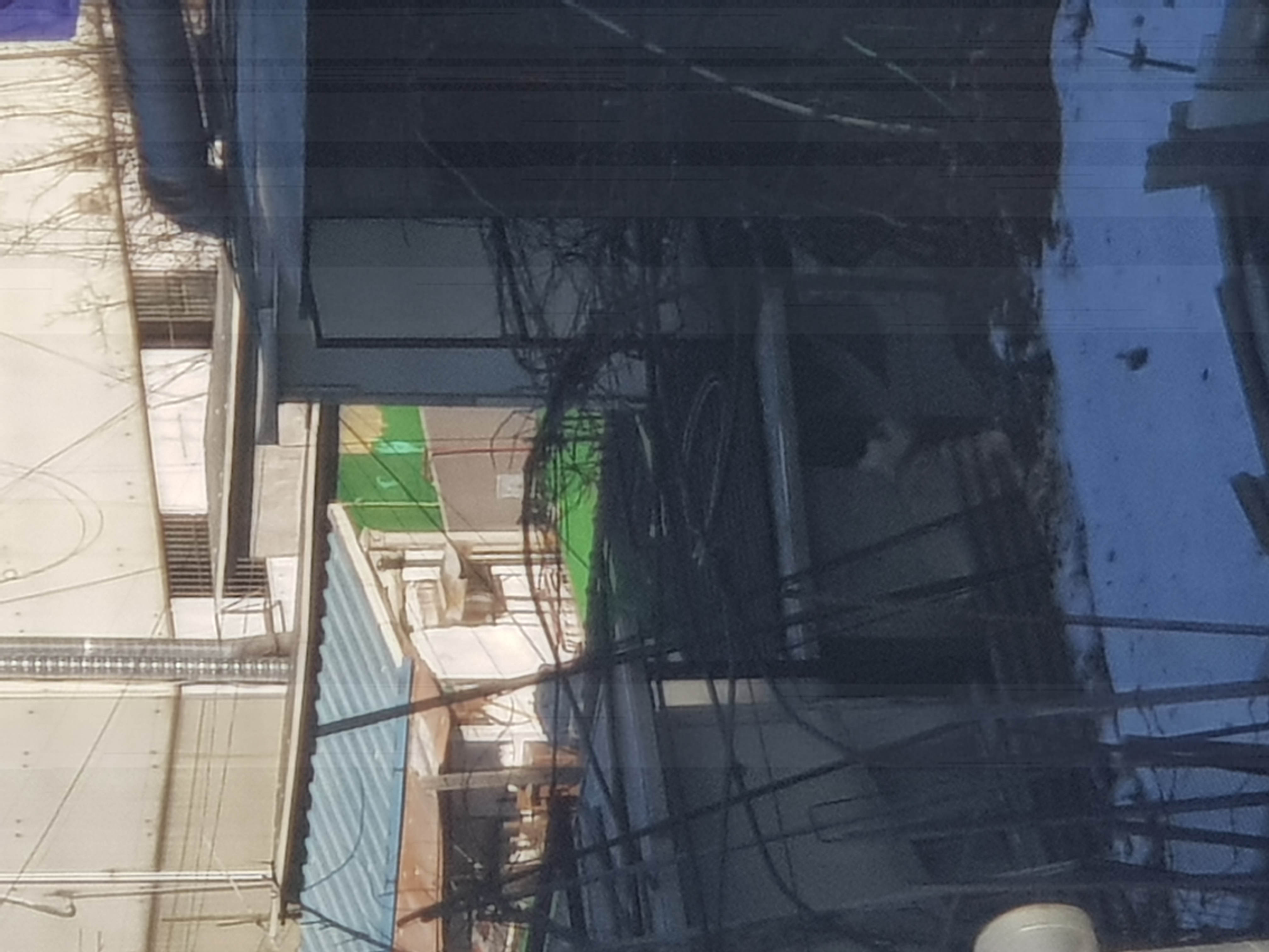 옥상에서 방치되는것같아요