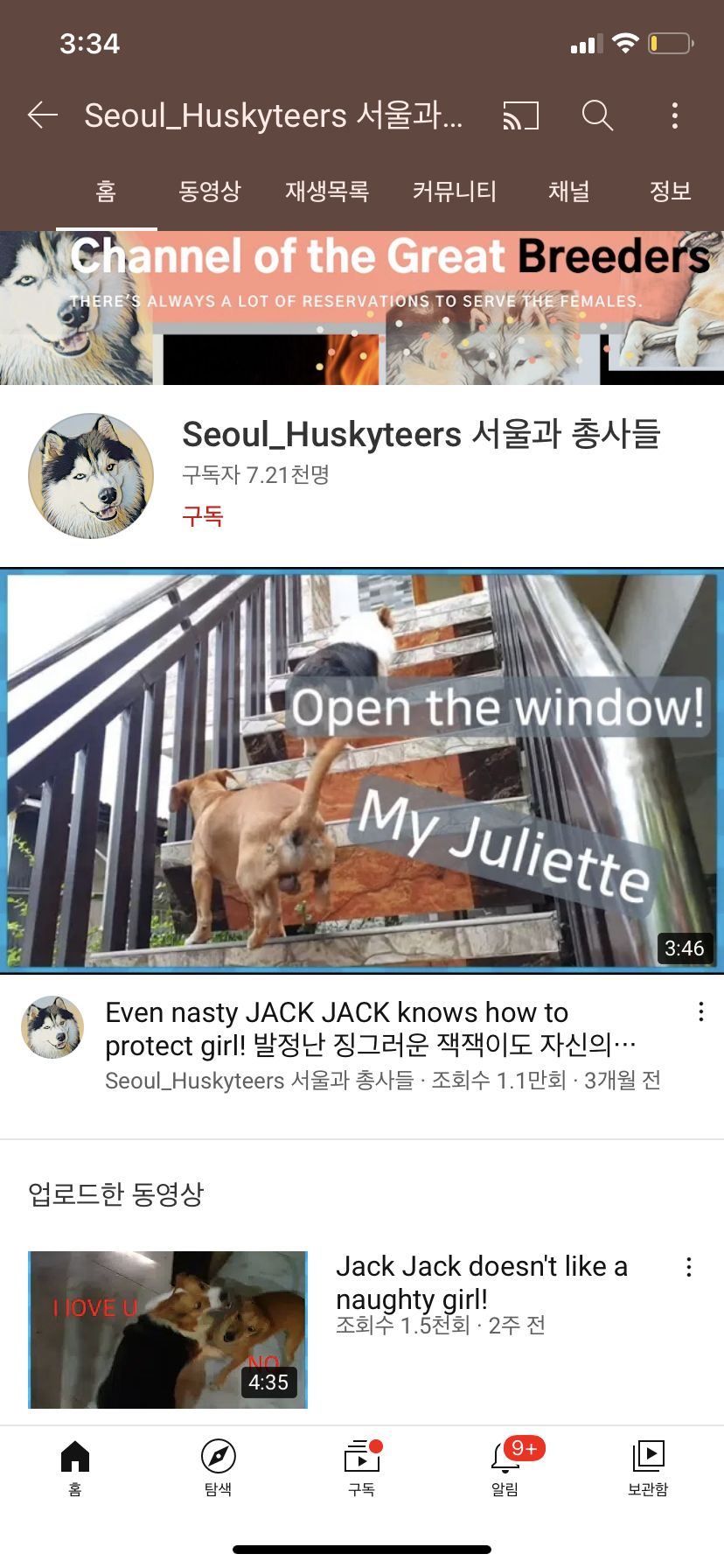 폭력에 가까운 강제교배를 유튜브에 게시하는 채널이 있습니다.
