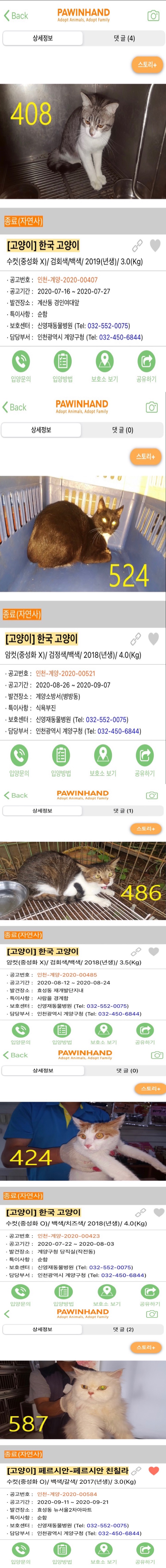 지자체 동물보호관리 암묵적 살해 방관