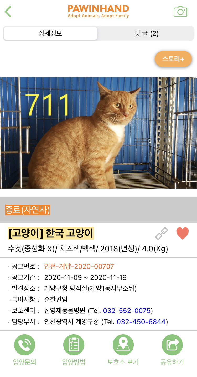 지자체 동물보호관리 암묵적 살해 방관