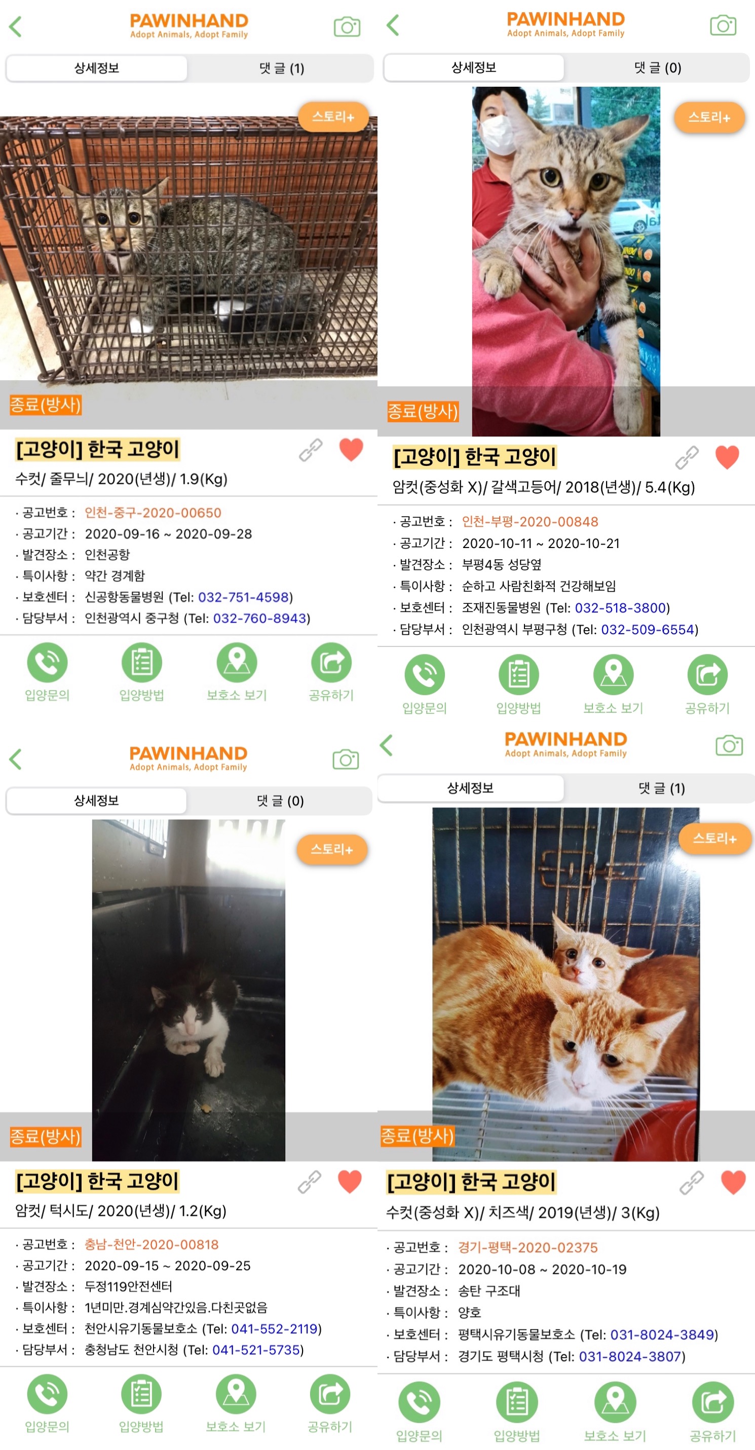지자체 동물보호관리 암묵적 살해 방관