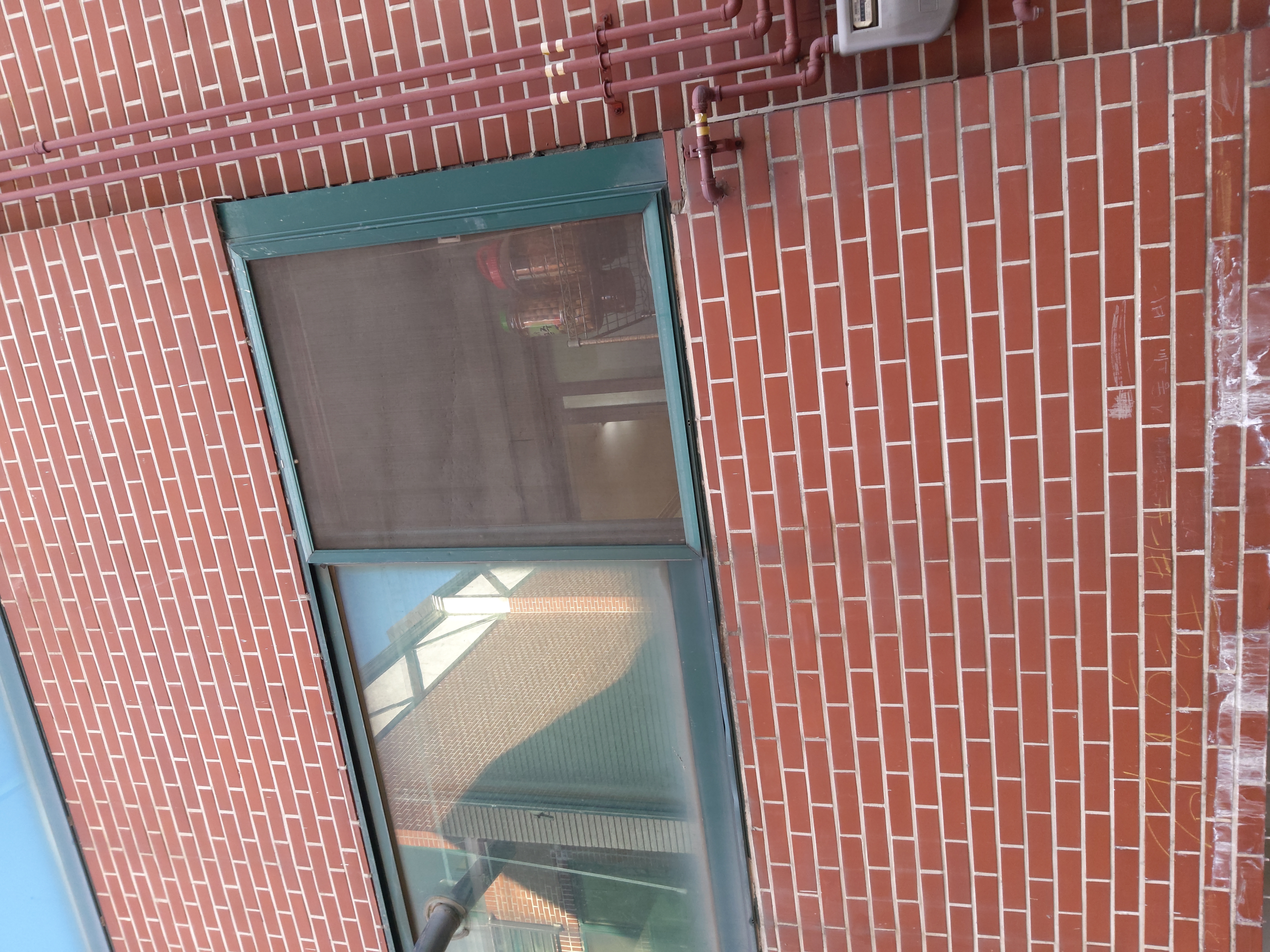 옆집에서 고양이 강아지 한달넘게 방치중