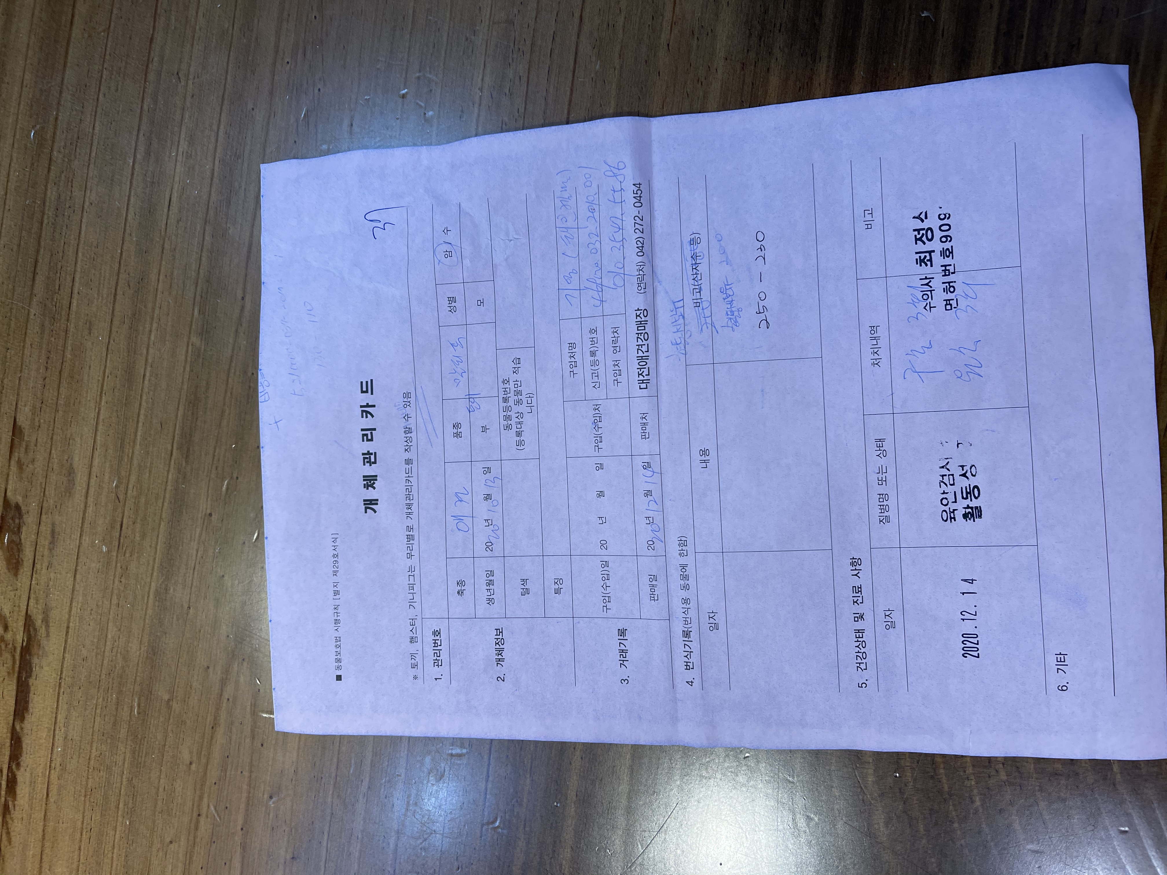 아이를 택배로 보내라는 펫샾