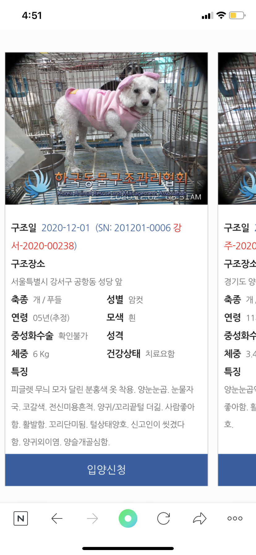 반려견 밍이