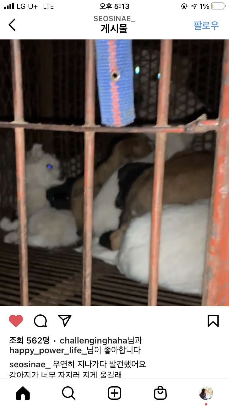 경북경산 옥곡동 공영주차장 개트럭