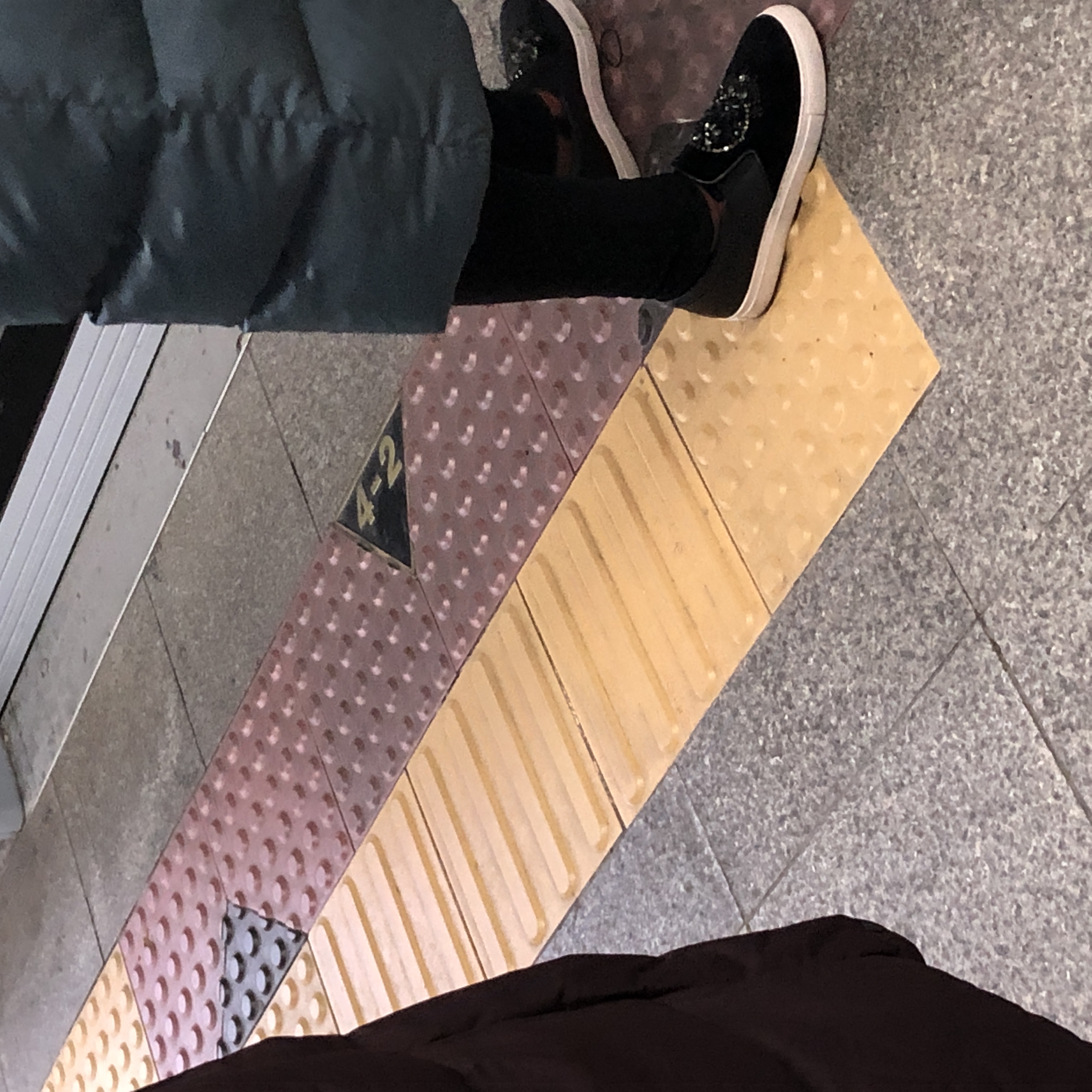 비둘기 구조 부탁드립니다 