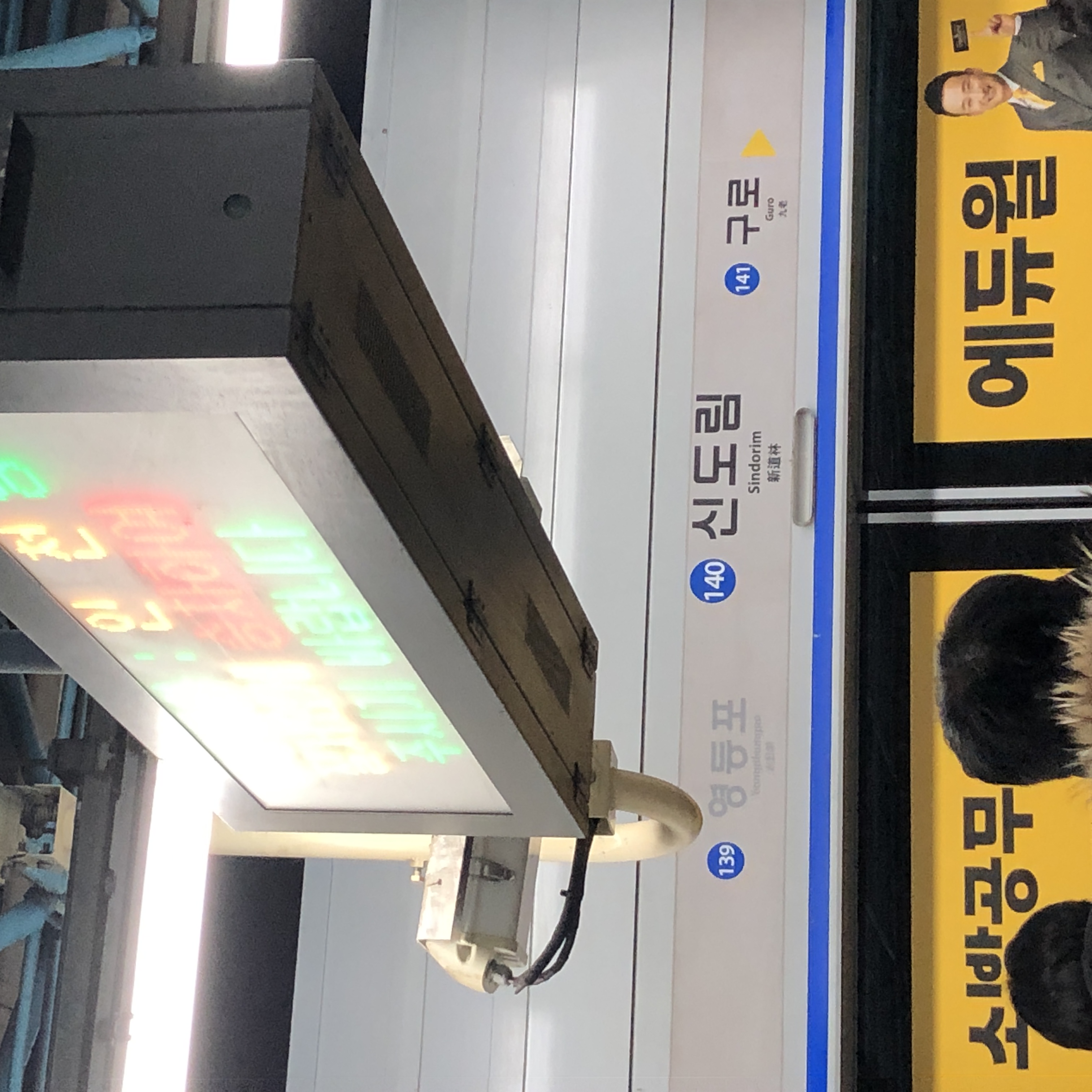 비둘기 구조 부탁드립니다 