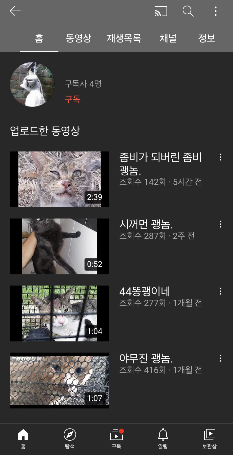 유튜브 고양이학대 채널 제보합니다