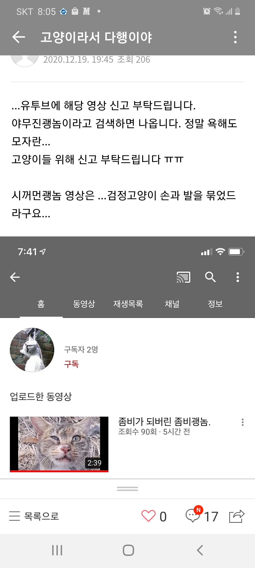 유튜브로 동물학대영상을 올리고 있어요