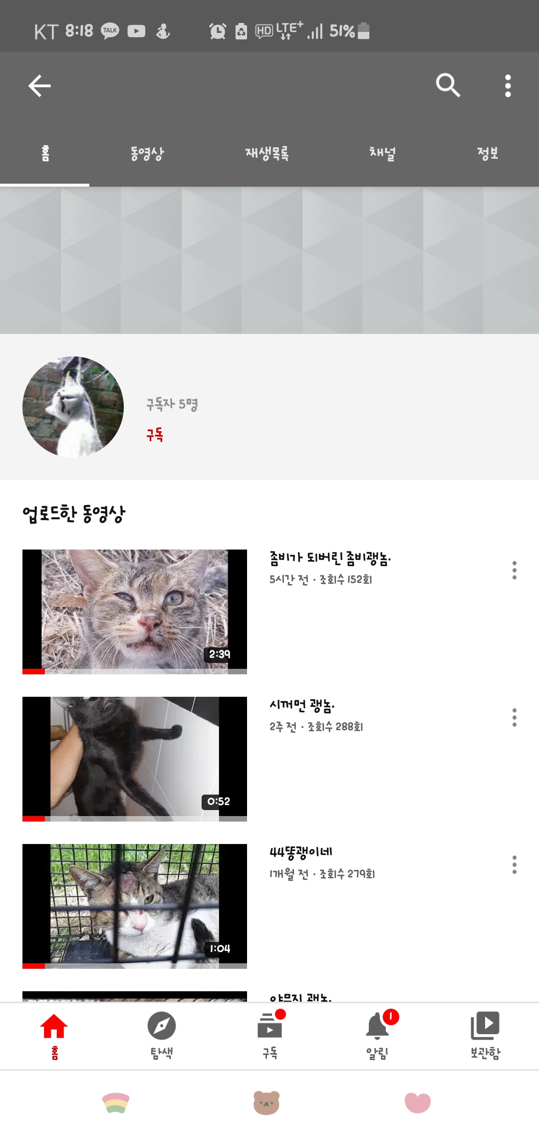 유튜브고양이학대신고합니다