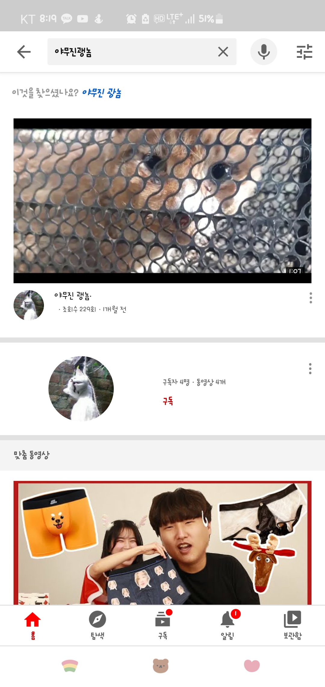 유튜브고양이학대신고합니다