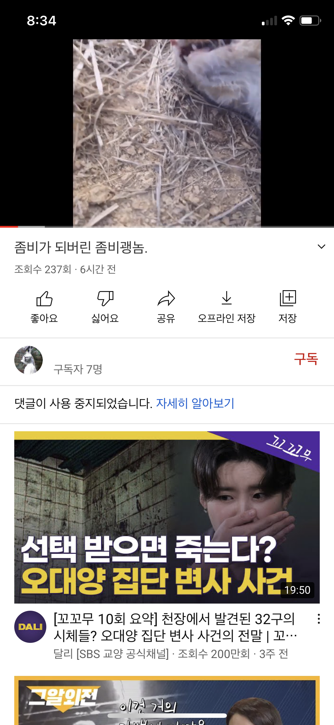 유튜브고양이학대범신고합니다