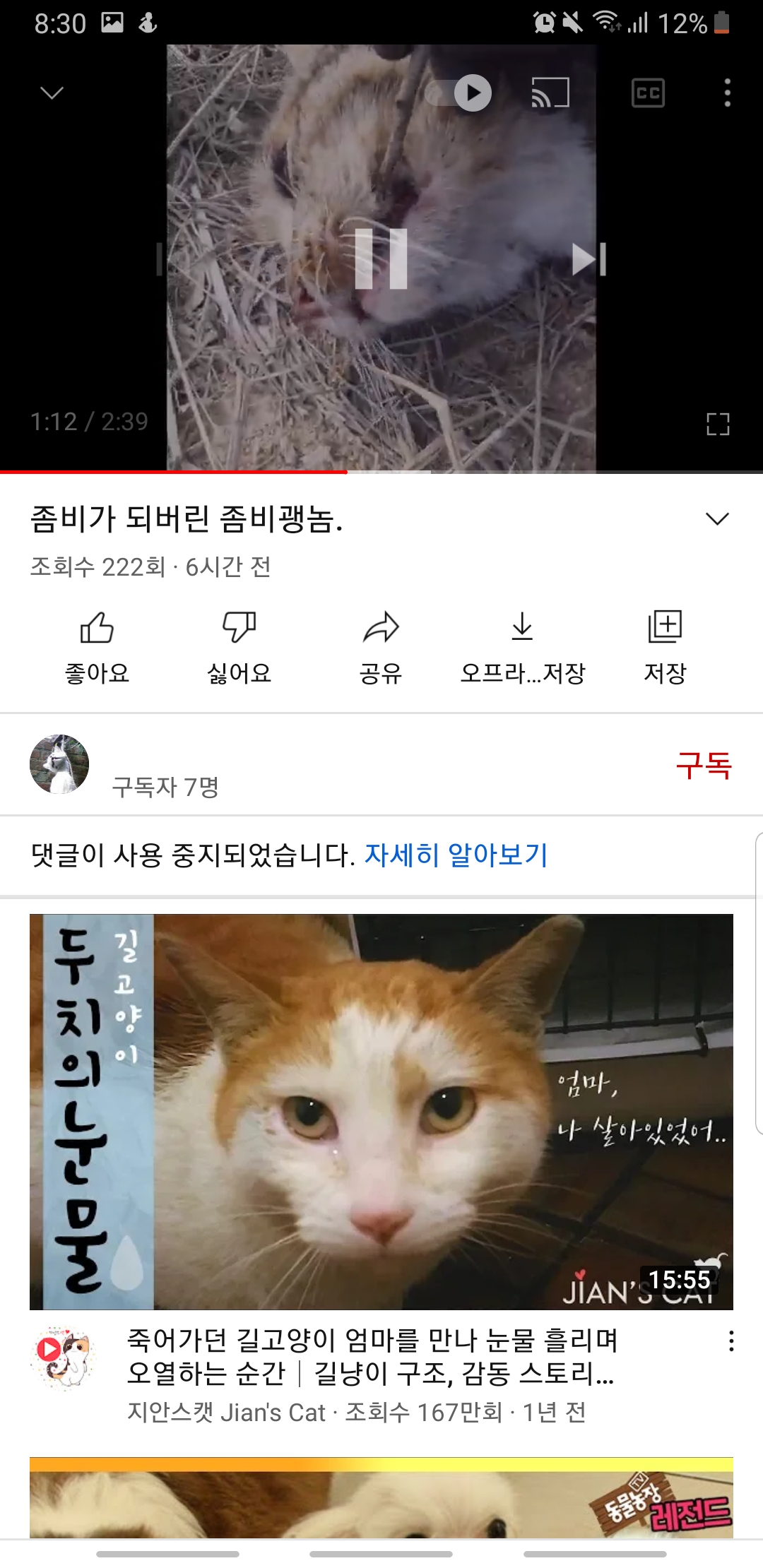 유튜브 고양이 학대 영상 게재