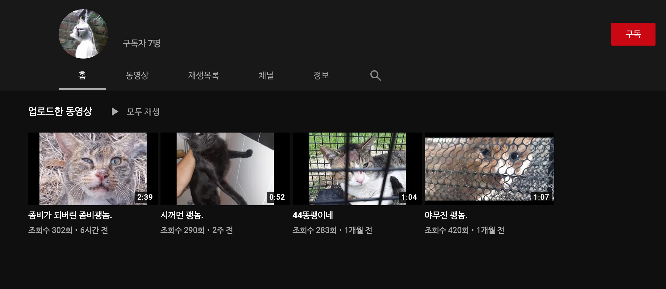 심각합니다. 고양이 학대,살해 유튜버 신고합니다.