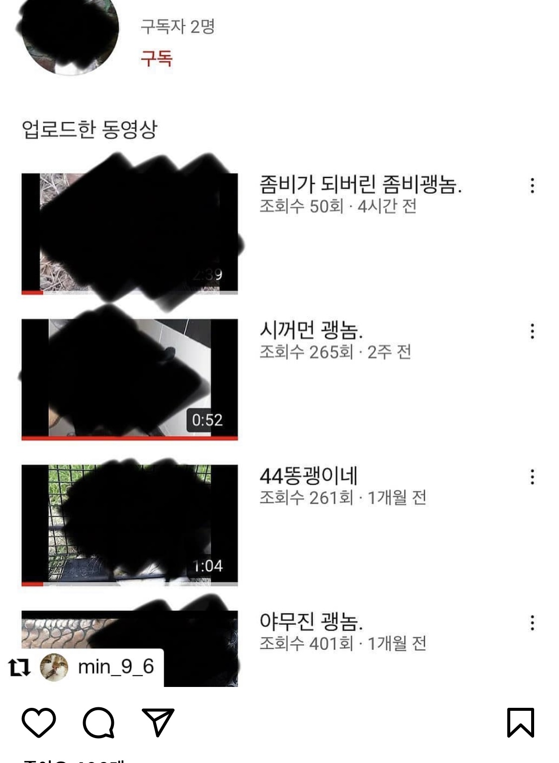 유튜브 고양이 학대 영상