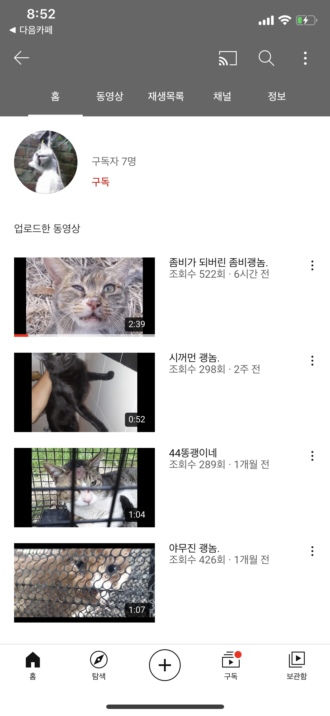 유튜브에 고양이 학대 영상이 올라오고 있습니다