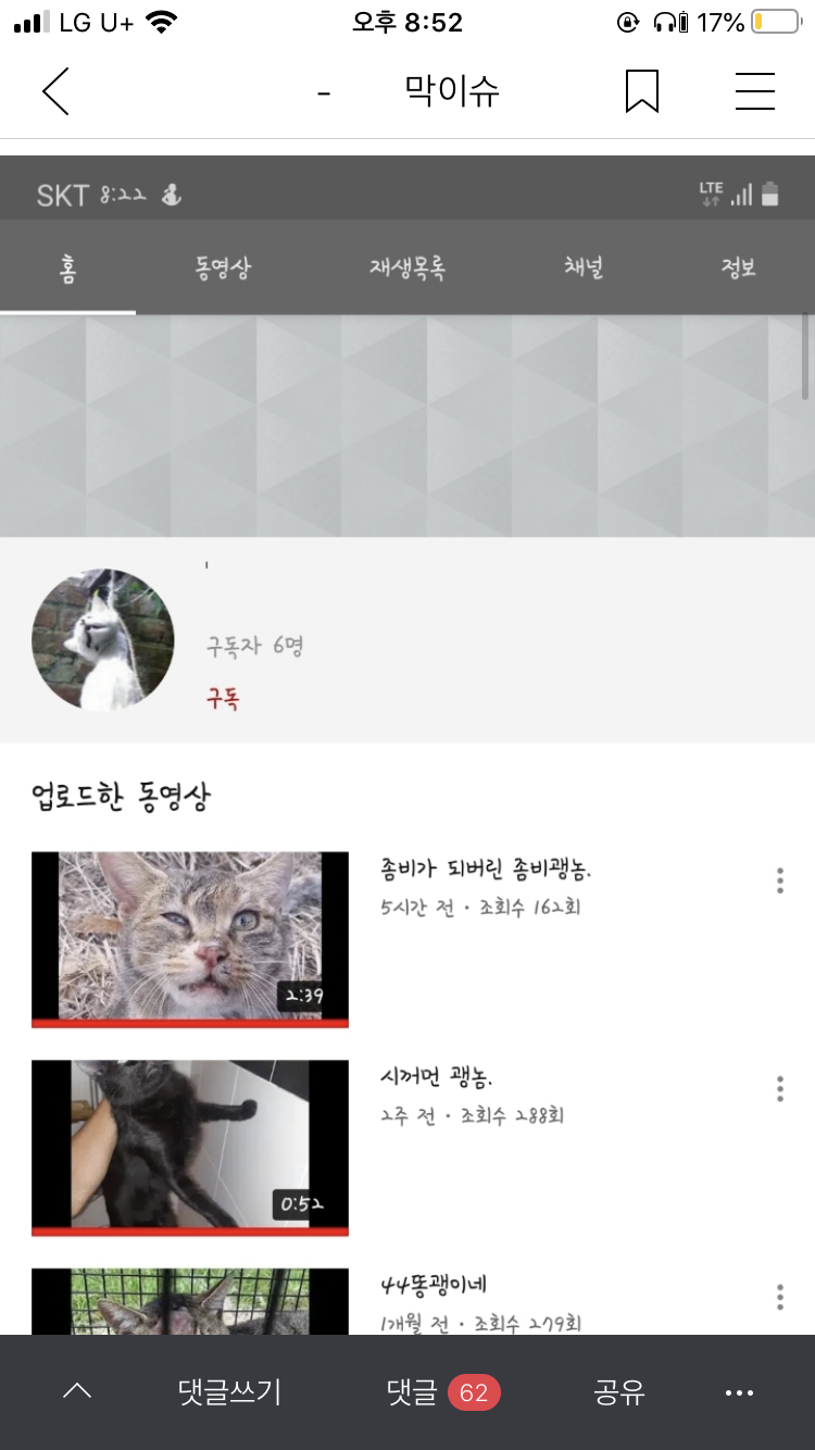 유튜브에 고양이 학대 영상을 올리는 사람이 있습니다.