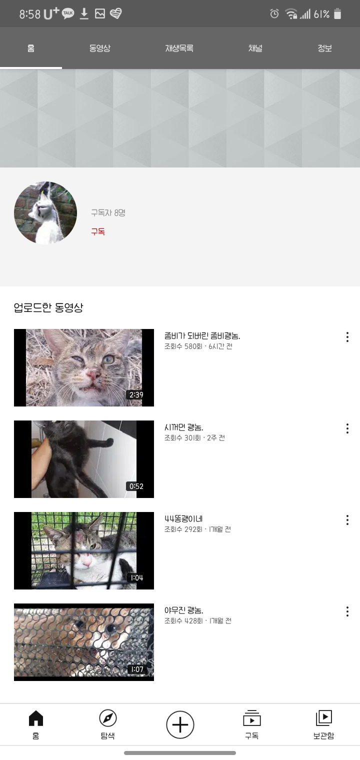 고양이 학대 영상 신고합니다