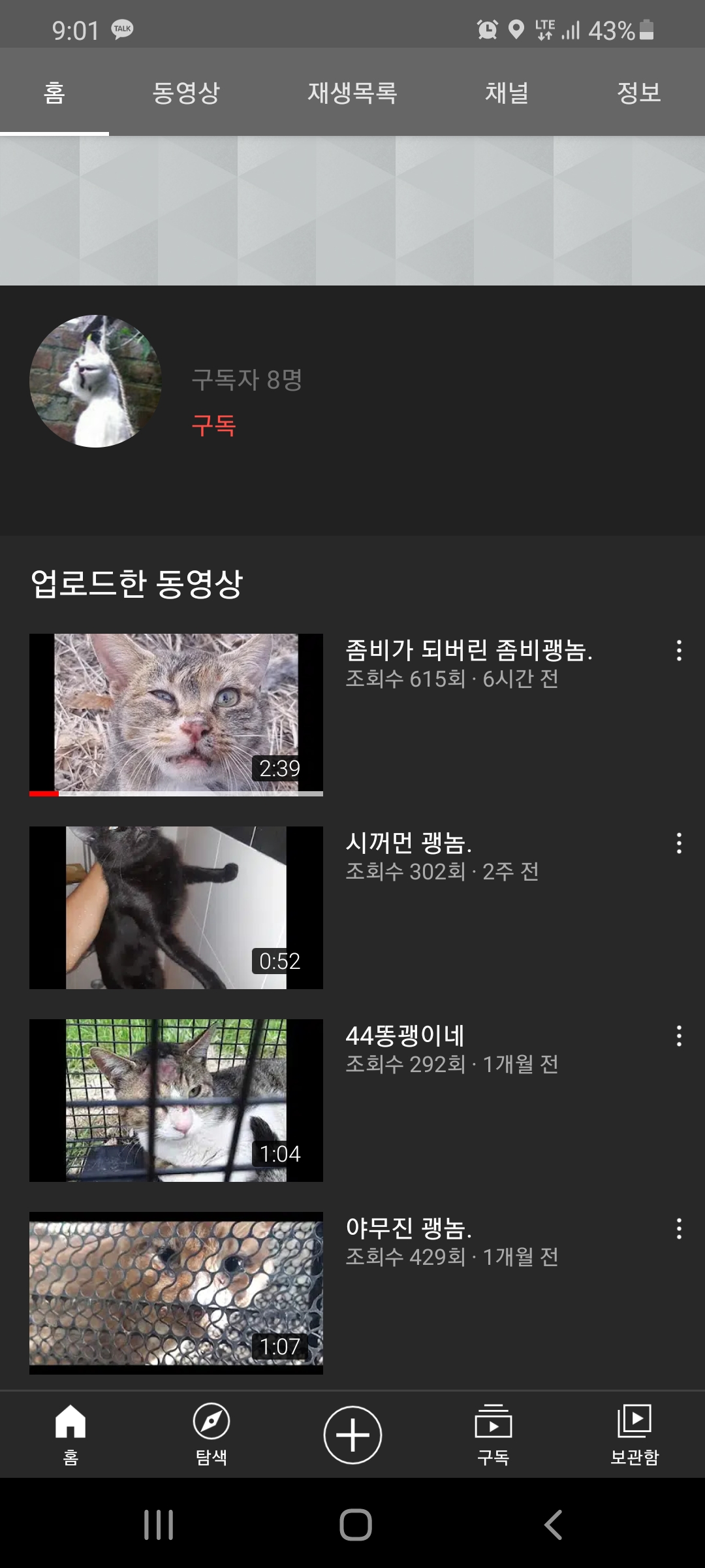길고양이 학대 유튜브 영상