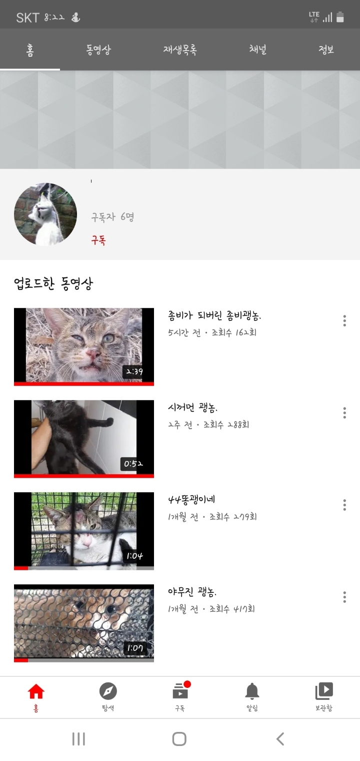 유튜브에 고양이를 학대하는 영상을 올리는 학대범을 신고합니다. 제발 도와주세요