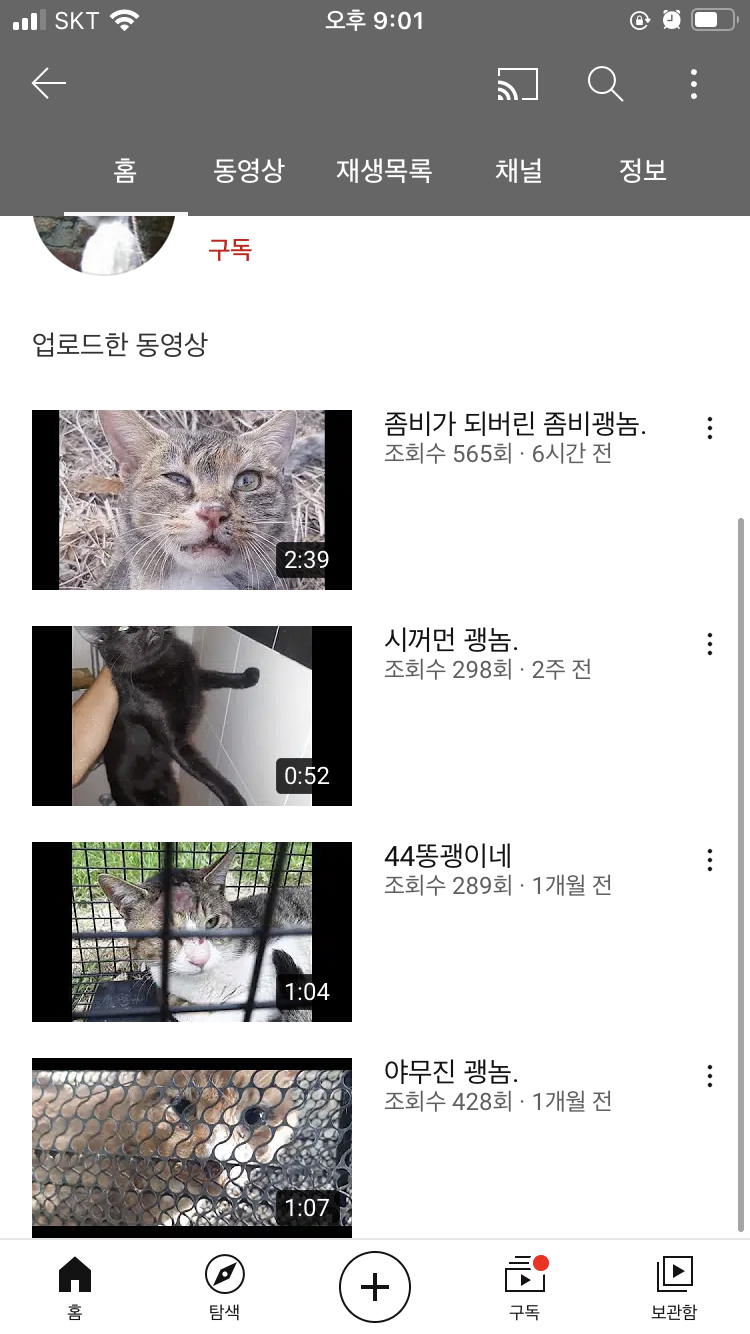 동물학대 유튜버 신고합니다