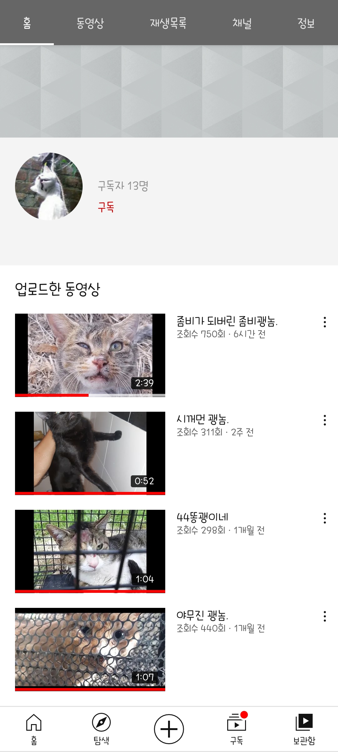 유튜브에서 길고양이를 잡아서 학대하는거같습니다! 강력히 처벌원합니다!