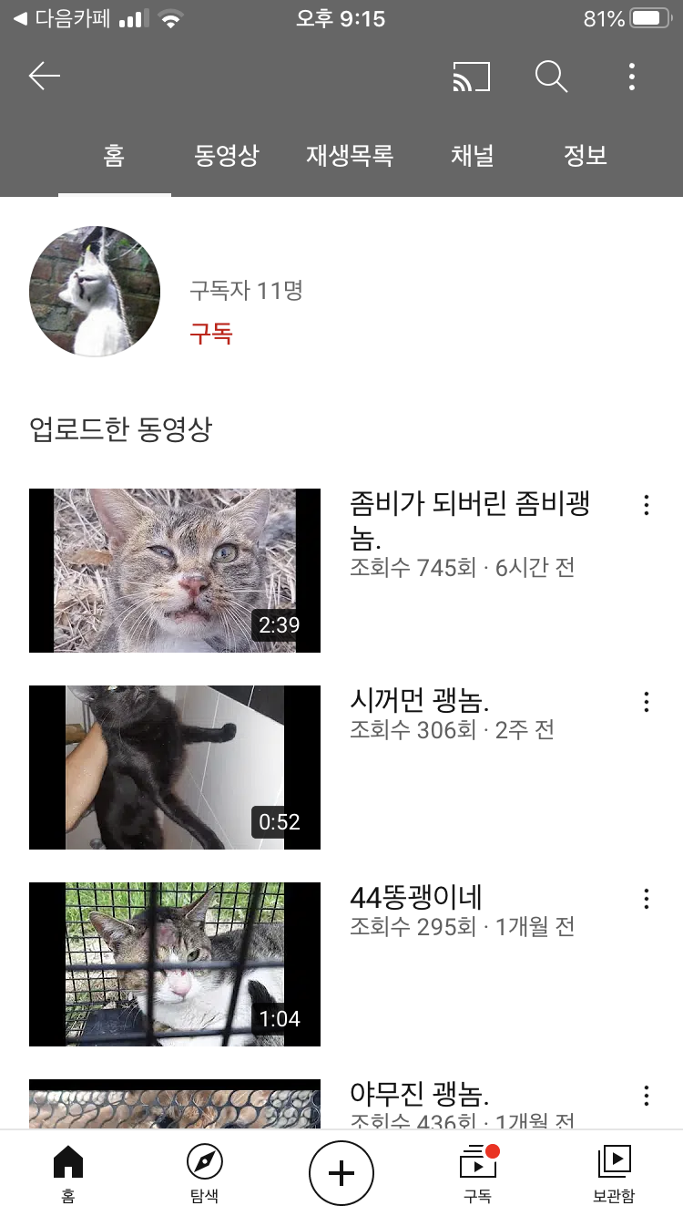 유튜브에 고양이 학대를 하며 2개월간 지속적으로 영상이 올라와요 
