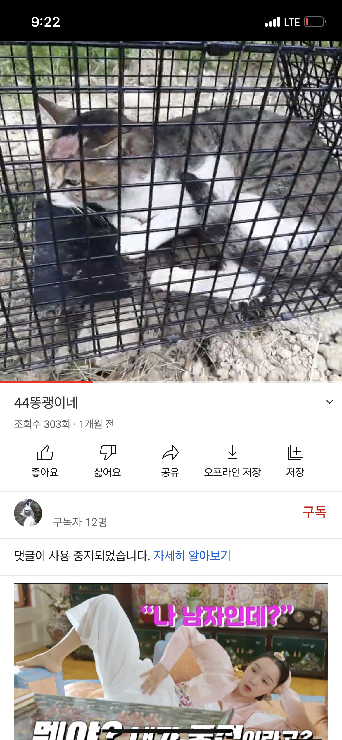 유튜브에 고양이 학대 및 살해하는 영상을 업로드하는 사람을 잡아주세요