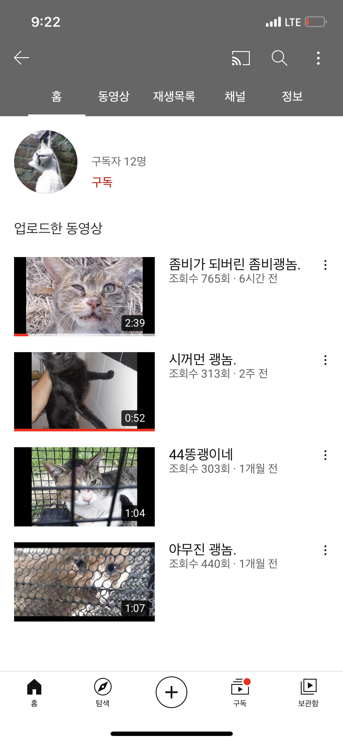 유튜브에 고양이 학대 및 살해하는 영상을 업로드하는 사람을 잡아주세요
